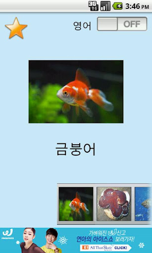 아기영어 바다