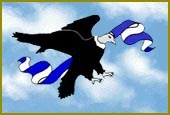 Condor Vientos del Sur
