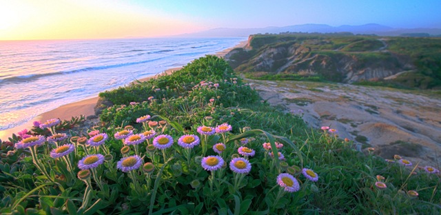 [Jurvetson_beautiful_composition_halfmoonbayca[5].jpg]