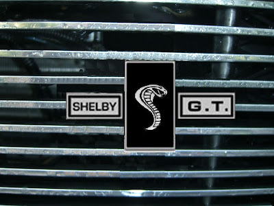 ShelbyGrill6.jpg