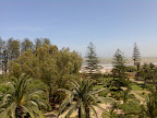 200804-038.jpg