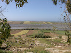 200804-065.jpg