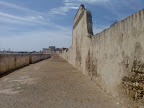 200804-101.jpg