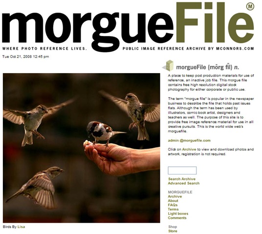 [morguefile[3].jpg]
