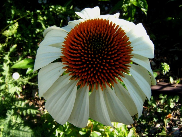 [2008_0715image0007[3].jpg]