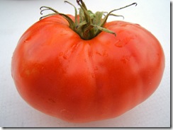 tomato 2008