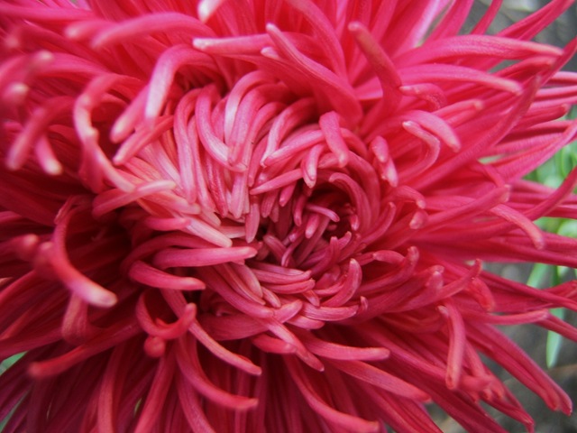 [2008_0823image0019[3].jpg]