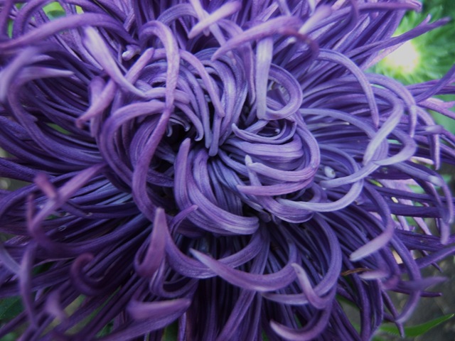 [2008_0823image0012[3].jpg]