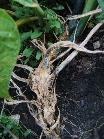 [2008_0817image0010[3].jpg]