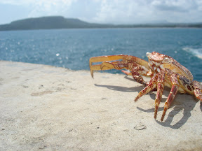 Baracoa