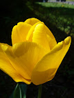 P1020008.jpg