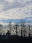 P1010158.jpg