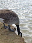 P1010474.jpg