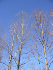 P1010130.jpg