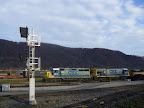 P1010163.jpg