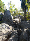P1000984.jpg