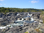 P1000973.jpg