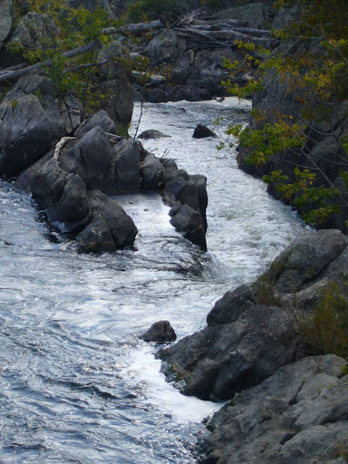 Potomac Gorge.jpg