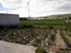 Vendo Lindo Terreno En Quito  Ecuador