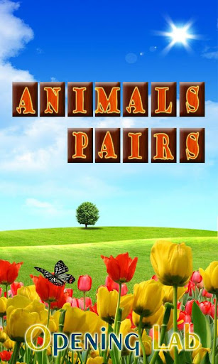 Animals Pairs