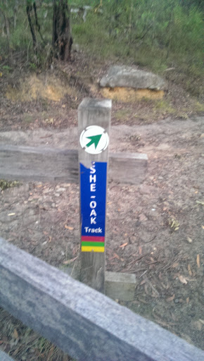 She Oak Walking Trail Marker