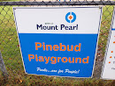Pinebud Playground