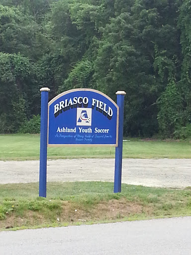 Briasco Field