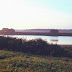 Scan-070505-0005_f.jpg