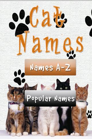 Cat Kitten Names