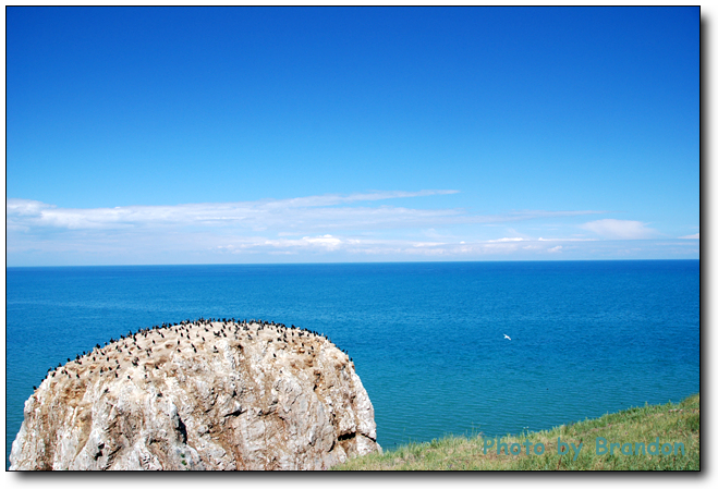 锦绣青海之 <wbr>－ <wbr>5 <wbr>鸟岛，翱翔后的停靠