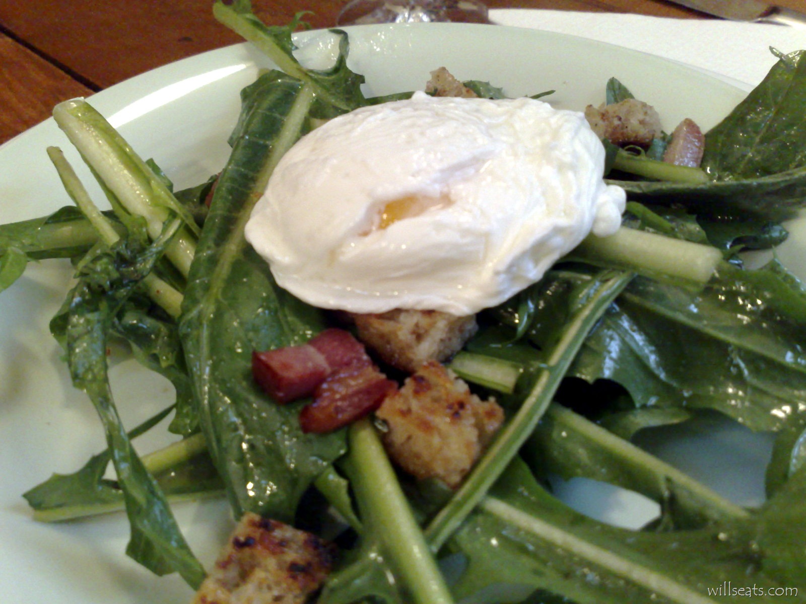 [dandelion040620081346[3].jpg]