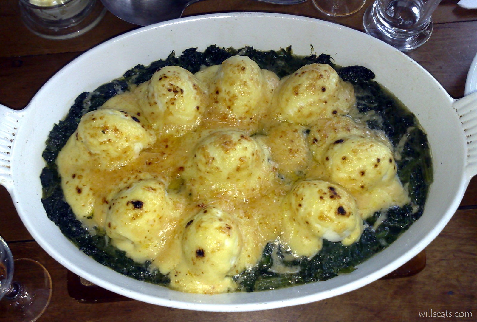 [Florentine 250620081430[3].jpg]