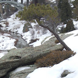 Castlewood Canyon State Park
South of Franktown, CO
Bridge Canyon Overlook