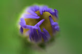 IMG_0860.JPG