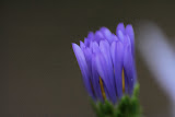 IMG_0894.JPG
