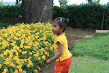 IMG_0136.JPG