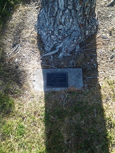 Pam Kiminski Memorial