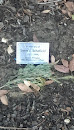 In Memorial Tree Plaque 