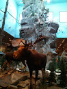 The Big Moose