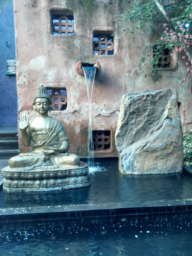 Buda Meditando