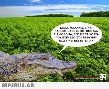 ΚΑΛΑ, ΜΑΛΑΚΕΣ ΕΙΝΑΙ ΚΑΙ ΜΟΥ ΒΑΖΟΥΝ ΚΟΤΟΠΟΥΛΑ ΓΙΑ ΔΟΛΩΜΑ; ΕΓΩ ΜΕ ΤΑ ΧΟΡΤΑ ΠΟΥ ΕΧΕΙ ΕΔΩ ΣΤΟ ΡΕΘΥΜΝΟ ΕΧΩ ΓΙΝΕΙ ΒΕΤΖΕΤΕΡΙΑΝ 