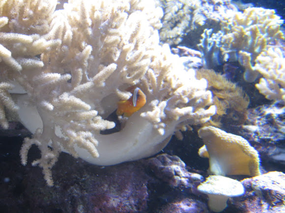 Spotting Image 1