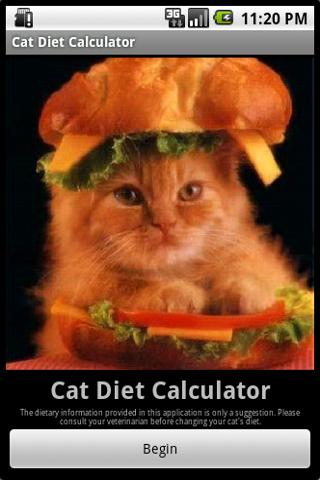 Cat Diet Calculator