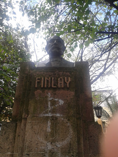 Busto Finlay