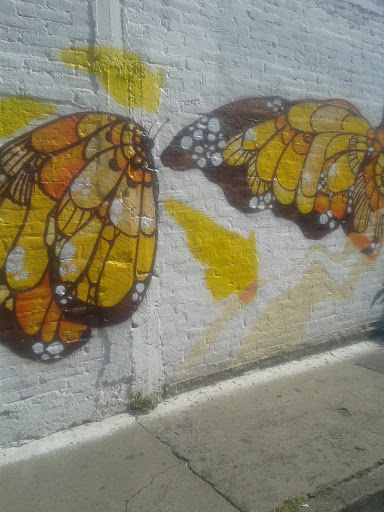 Mural Mariposas Monarca