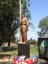 Памятник Войнам освободителям. 