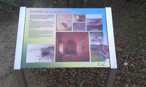 Bunkers En Vleermuizen