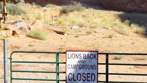 Lion's Back And Campground