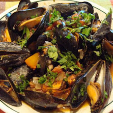 Mussels in Half Shells With Cilantro and Tomato