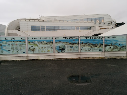 Brest Oceanopolis, La Clinique Des Phoques